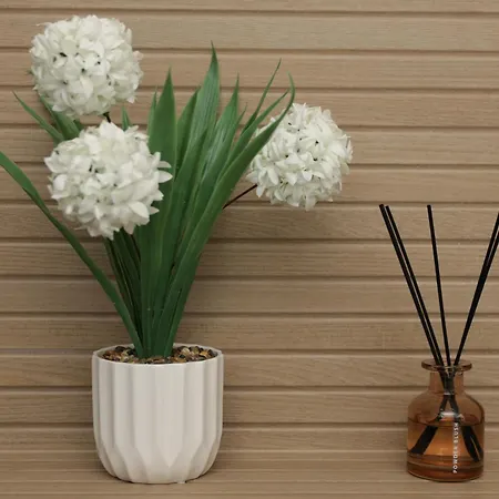 Andrea Apartamento Dubrovnik