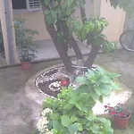 Apartamento Andrea Dubrovnik