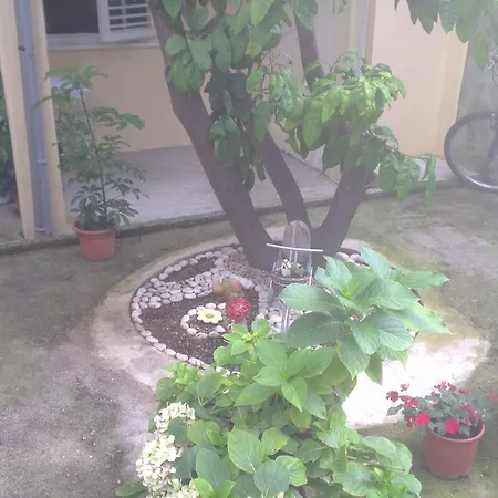 Apartman Andrea Dubrovnik